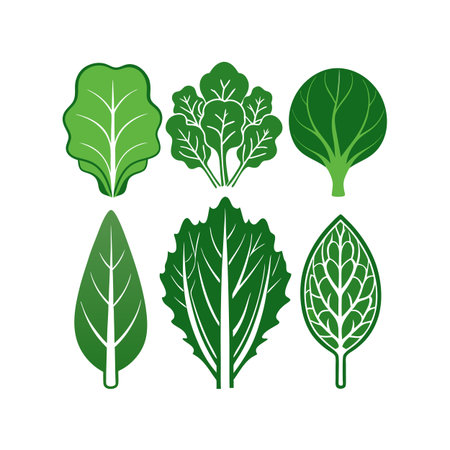 vegetables design, vector illustration eps10 graphic flat styleのイラスト素材