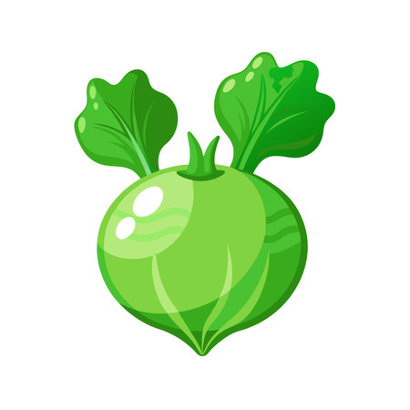 Fresh green turnip isolated on white background. Cartoon vector illustration.のイラスト素材
