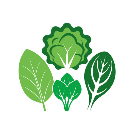 Cabbage and spinach icon. Vector illustration of green lettuce and spinachのイラスト素材