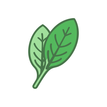 Spinach vector icon isolated on white background for your web and mobile app designのイラスト素材