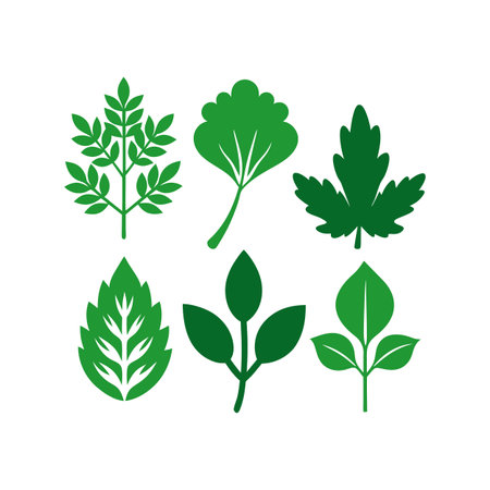 Set of green leaves and herbs. Vector illustration for your design.のイラスト素材