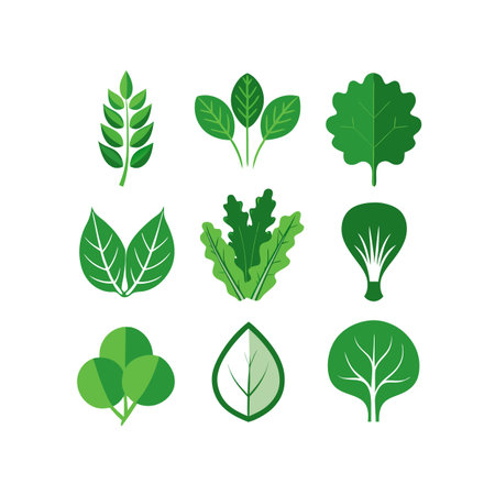 Set of green leaves. Vector illustration isolated on a white background.のイラスト素材