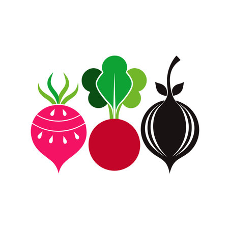 Beetroot and radish vector illustration. Vegetable icon.のイラスト素材