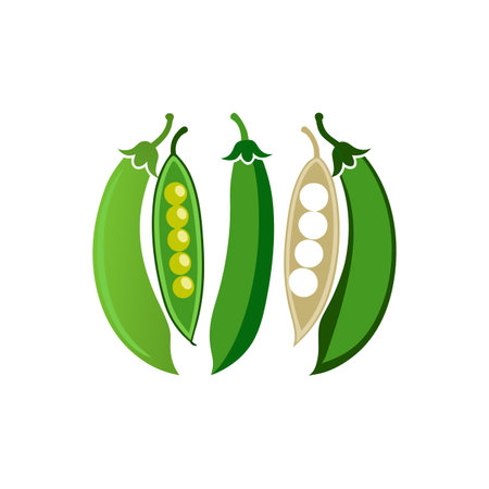 Peas icon vector isolated on white background for your web and mobile app designのイラスト素材