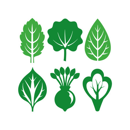 Set of green vegetables icons. Vector illustration isolated on white background.のイラスト素材