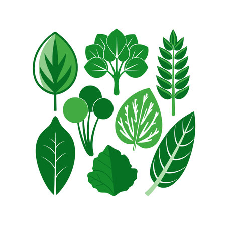 Set of green leaves. Vector illustration isolated on a white background.のイラスト素材