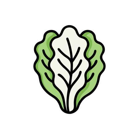 cabbage vegetable healthy food icon vector illustration line and fill style designのイラスト素材