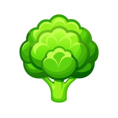 Broccoli icon. Cartoon illustration of broccoli vector icon for web designのイラスト素材