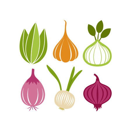 Garlic and onion icons set. Vector illustration of fresh vegetables.のイラスト素材