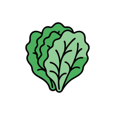 lettuce vegetable icon over white background. colorful design. vector illustrationのイラスト素材