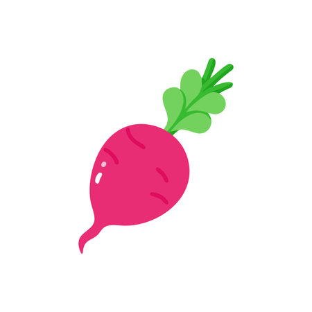 Radish flat icon on background for graphic and web design. Creative illustration concept symbol for web or mobile appのイラスト素材