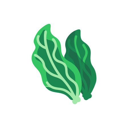 Spinach leaves icon in isometric 3d style on a white backgroundのイラスト素材