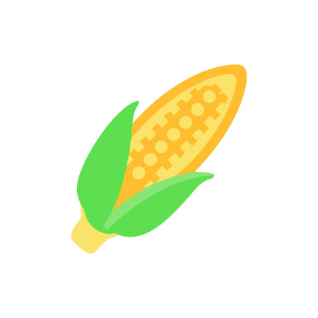 Corn icon in flat color style. Vegetable vector illustration on white isolated background.のイラスト素材