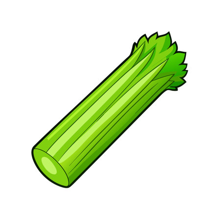 Celery isolated on white background. Vector illustration of celery.のイラスト素材