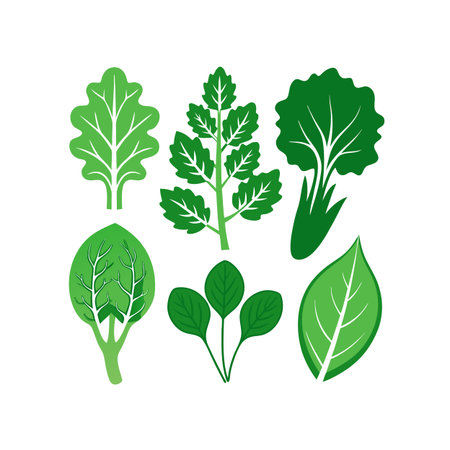 Set of green leaves and greens. Vector illustration isolated on white background.のイラスト素材