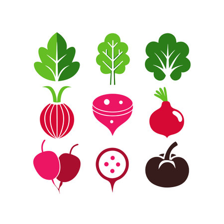 Beetroot and radish icons set. Organic food. Vector illustrationのイラスト素材