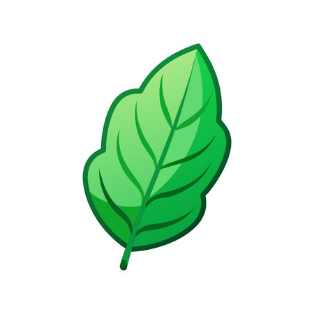 Basil leaf icon. Cartoon illustration of basil leaf vector icon for web designのイラスト素材