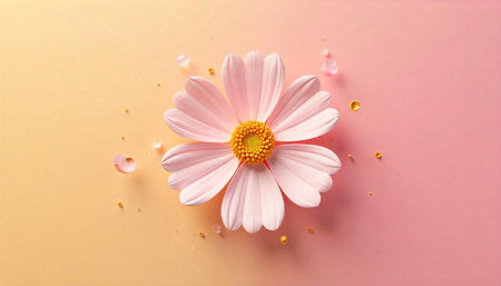 Soft Pink Daisy on Pastel Background, Floral Composition