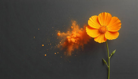 Vibrant orange flower with explosion of color against dark background