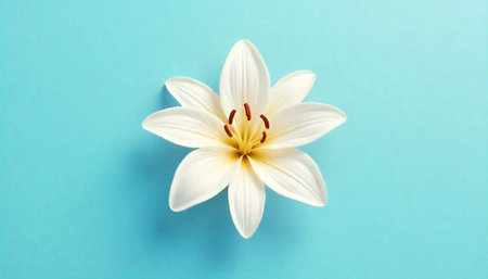 Elegant white lily blossom against a serene turquoise backdropの写真素材