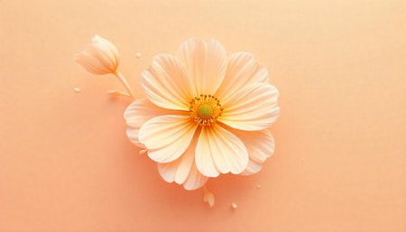 Peach blossom on peach background creates soft aesthetic