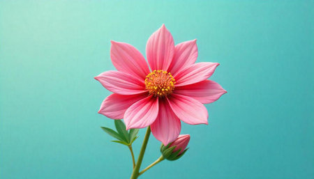 Elegant pink flower with a vibrant yellow center against turquoise