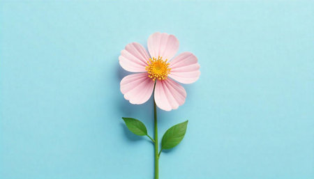 Pink flower with yellow center on light blue backgroundの写真素材