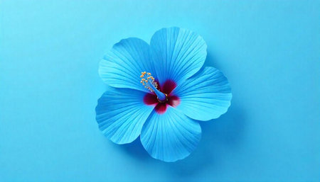 Close-up of a vibrant blue hibiscus flower on blue background