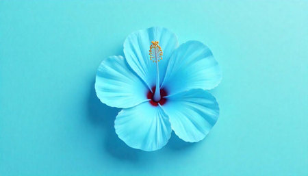 Azure Hibiscus Flower on Teal Background, Top View