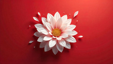 Elegant white flower with petals on a red background