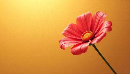 Single Pink Daisy on Yellow Background Still Life