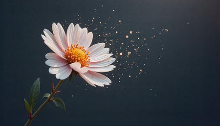 Delicate pink flower with bokeh on dark background image
