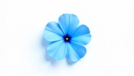 Isolated light blue flower against white background for designの写真素材