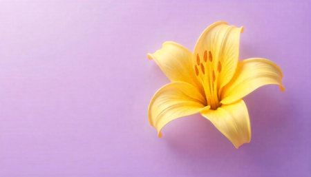Elegant yellow lily on soft purple background with copy space