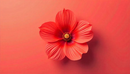 Vibrant red flower blossom isolated against a matching background