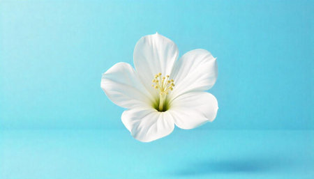 Elegant white flower floating on a light blue backdrop