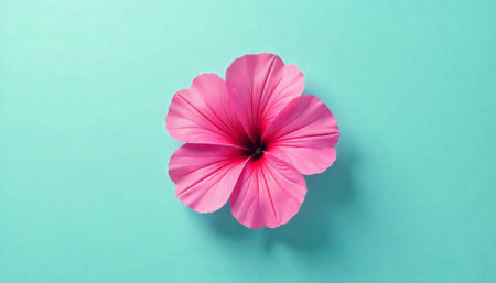 Pink Hibiscus flower on light blue background stock image