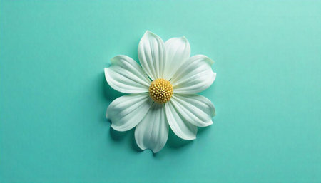 White flower with yellow center on a teal background