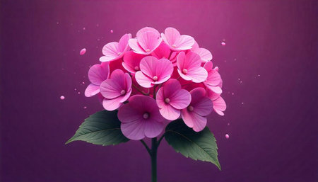 Elegant pink hydrangea blossom against a gradient backdrop