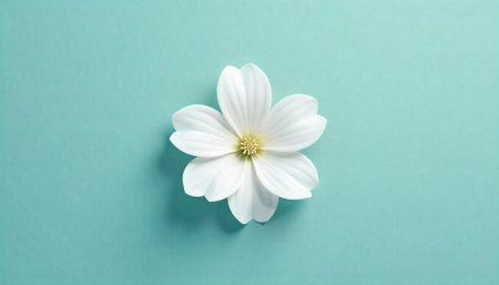 Single white flower centered on light blue background texture