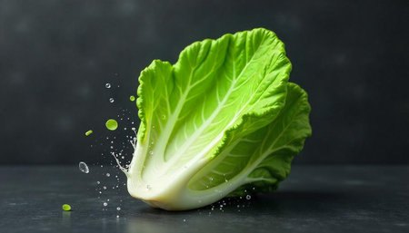 Fresh bok choy with water droplets on dark background