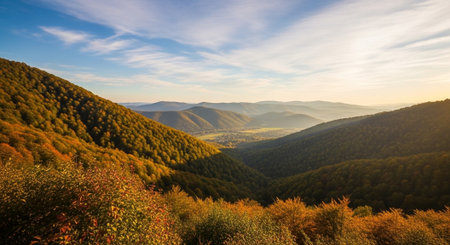 Autumn mountain vista at sunrise with golden foliageの写真素材