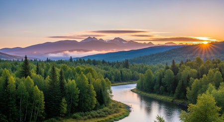 River flowing through a lush forest at sunsetの写真素材