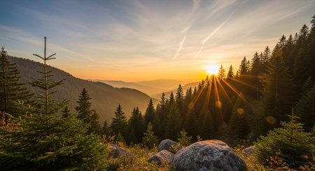 Golden Sunset over Mountain Range with Evergreen Forestの写真素材