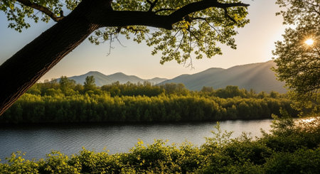 Serene lakeside vista with tree branch and distant mountainsの写真素材