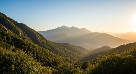 Scenic mountain landscape at sunrise with fog and treesの写真素材