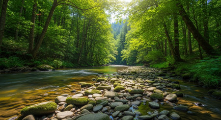 Picturesque river flowing through a lush green forest
