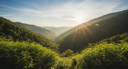 Sunlit Mountain Valley Landscape with Lush Greenery Foregroundの写真素材