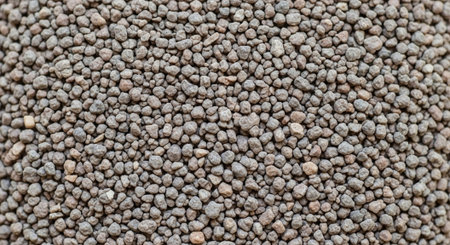 Dense layer of small pebbles forming a full frame