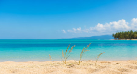 Tropical beach paradise with turquoise water and golden sandの写真素材